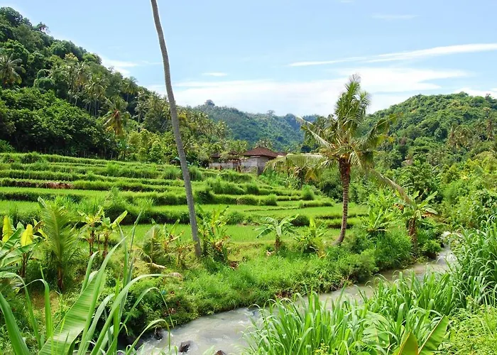 Temple Retreat Rumah Cantik Banjar (Bali)