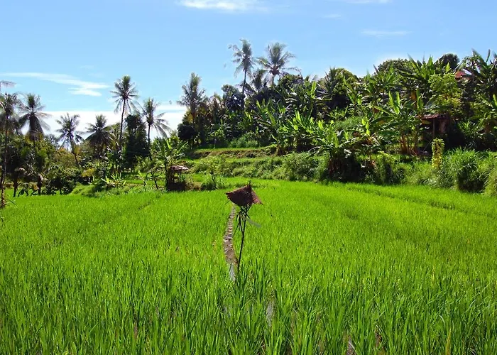 Temple Retreat Rumah Cantik * Banjar (Bali)